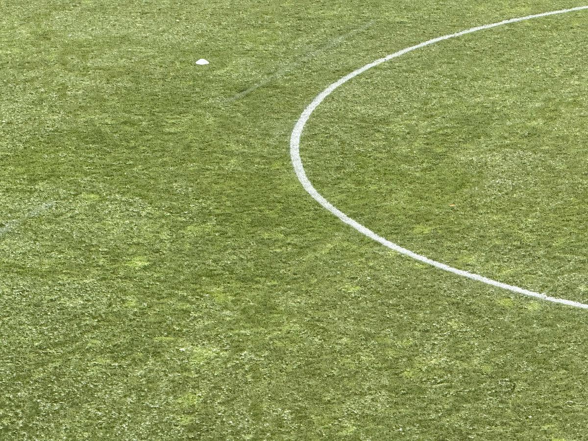 Dinamo - Farul, runda #27 din Superliga // Imagini surprinse înainte de meci
