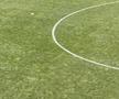 Dinamo - Farul, runda #27 din Superliga // Imagini surprinse înainte de meci