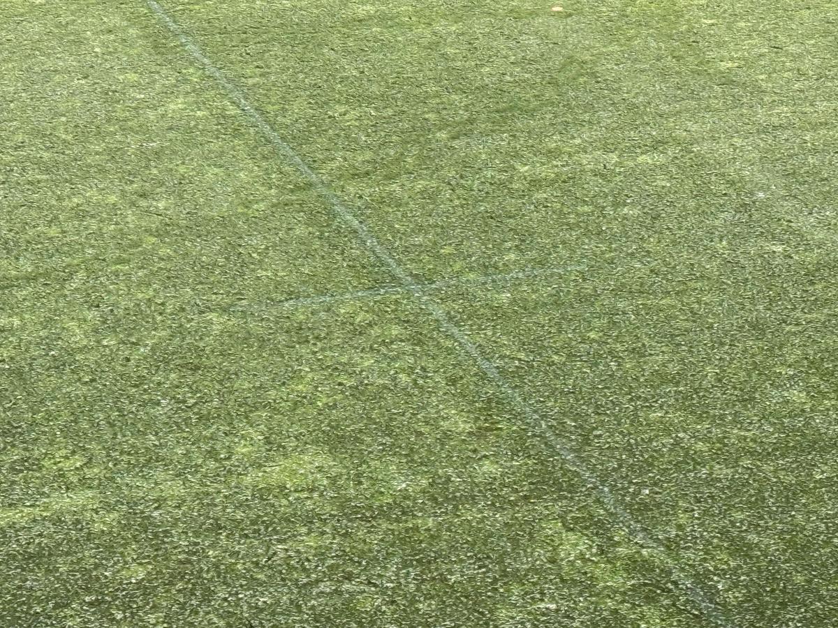 Dinamo - Farul, runda #27 din Superliga // Imagini surprinse înainte de meci