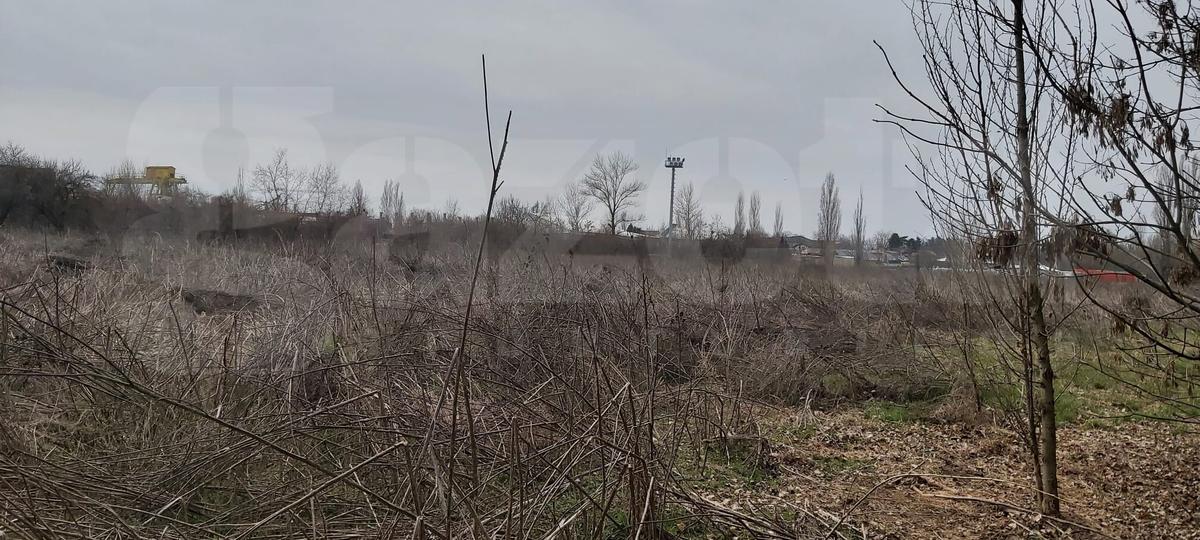 Cum arată baza Pro Rapid în martie 2022