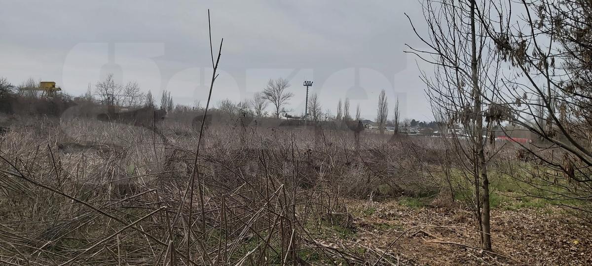 Cum arată baza Pro Rapid în martie 2022