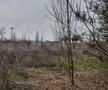 Gazeta a întrebat Primăria Sectorului 1 ce plan are la Pro Rapid » Cine va beneficia de investiție