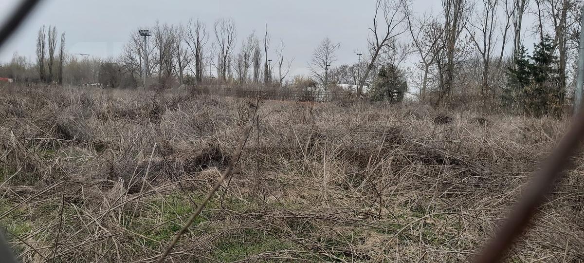 Gazeta a întrebat Primăria Sectorului 1 ce plan are la Pro Rapid » Cine va beneficia de investiție
