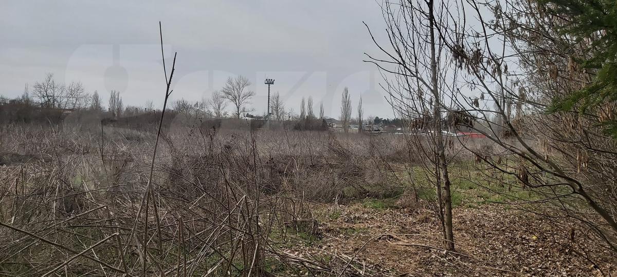Șucu refuzat, Pro Rapid va fi modernizată din bani publici! Contract semnat: la cât se ridică investiția
