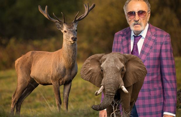 Ion Țiriac a plecat la vânătoare pe ruta Noua Zeelandă - Namibia: „O treabă foarte nepopulară, dar cerbul ăsta s-ar putea să fie un record mondial!”