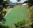 Eco-Stadium „Janguito Malucelli”, Brazilia
