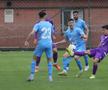 FC Voluntari - FC Argeș / Foto Ionuț Iordache (GSP)