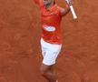 Novak Djokovic - Stefanos Tsitsipas, finală Roma 2022
