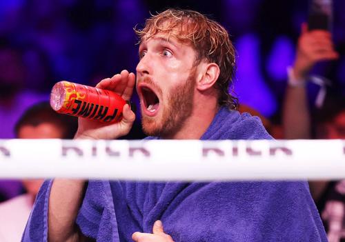 Logan Paul Foto: Getty Images