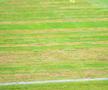 FOTO: Raed Krishan (GSP)