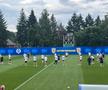 Emil Săndoi admite o greșeală înainte de Euro 2023: „Am fost puțin dezechilibrați!” + cine e idolul micilor fani