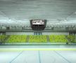 Așa ar urma să arate patinoarul Flamaropol