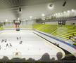 Așa ar urma să arate patinoarul Flamaropol