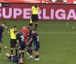 Arbitru luat la țintă în FC Botoșani - Dinamo