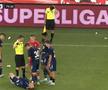 Arbitru luat la țintă în FC Botoșani - Dinamo