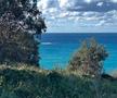 Nandor Kuti, experiență unică pe coasta de est a Australiei/Foto: Instagram (Nandor Kuti)