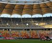 Imagini de la Arena Națională înainte de Dinamo - UTA Arad