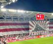 Scenografia Rapidului la derby-ul cu Dinamo / FOTO: Carmen Dumitru / GSP.ro