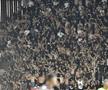 Imagini la finalul derby-ului Rapid - Dinamo // FOTO: Cristi Preda / GSP.ro