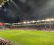 Din nou mesaje cu iz rasist la Rapid - Dinamo » „Câinii” au aflat scenografia giuleștenilor