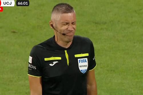 Radu Petrescu a considerat că nu se impune penalty în niciuna dintre faze