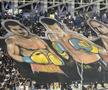 Scenografii spectaculoase la meciul Petrolul - Dinamo, din Superligă. Foto: Andrei Crăițoiu (GSP.RO)