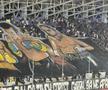 Scenografii spectaculoase la meciul Petrolul - Dinamo, din Superligă. Foto: Andrei Crăițoiu (GSP.RO)