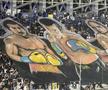 Scenografii spectaculoase la meciul Petrolul - Dinamo, din Superligă. Foto: Andrei Crăițoiu (GSP.RO)