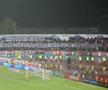 „Un paradox în continuare / FC Gazde joacă în deplasare” sau „În Europa ați ieșit din anonimat / Doar că ne sunteți rivali în campionat” » Cele mai tari 100 mesaje afișate la Dinamo - FCSB