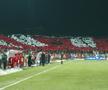 Dinamo - FCSB / Scenografii