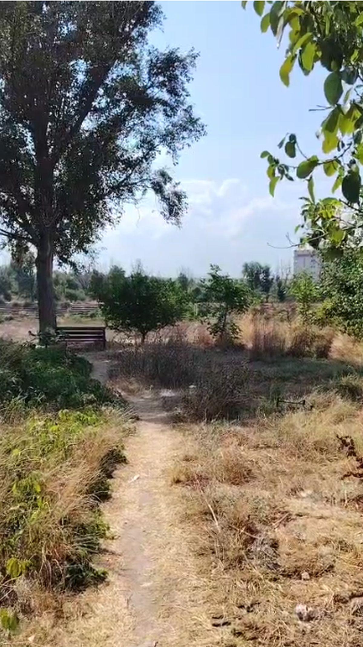 Complexul Sportiv Badea Cârțan din Constanța