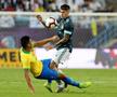 Brazilia - Argentina 0-1
