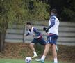 FRF TV a dezvăluit cum îi învață Edi Iordănescu pe „tricolori” să acopere spațiile