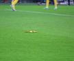 România - Kosovo // foto: Ionuț Iordache