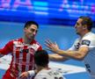 Dinamo - Veszprem / foto: Raed Krishan