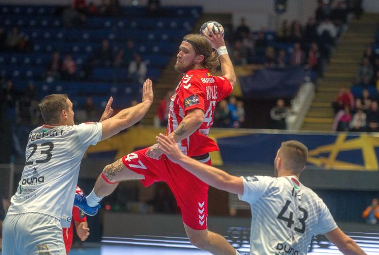 Dinamo - Veszprem / foto: Raed Krishan