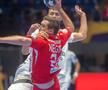 Dinamo - Veszprem / foto: Raed Krishan