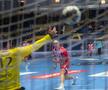 Dinamo - Veszprem / foto: Raed Krishan