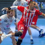 Dinamo - Veszprem / foto: Raed Krishan