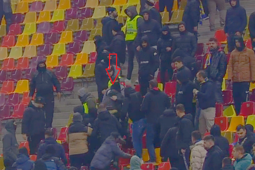 Rapid - Petrolul 3-1 | Incident reprobabil în tribunele Arenei Naționale: un ultras al ploieștenilor a lovit cu brutalitate un steward!