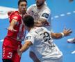 Dinamo - Veszprem / foto: Raed Krishan