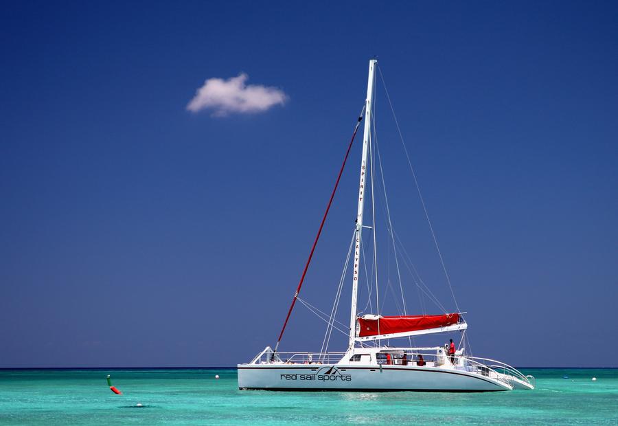 Vedere din Insulele Cayman FOTO Guliver/GettyImages Primul înotător care a coborât sub 20 de secunde în proba de 50 m liber vine din Insulele Cayman, unde sunt doar bazine de 25 de metri: „Am crescut în cel mai frumos loc de pe Pământ”