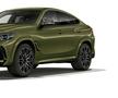 BMW X6 - 90.000 euro. Foto: bmw.ro