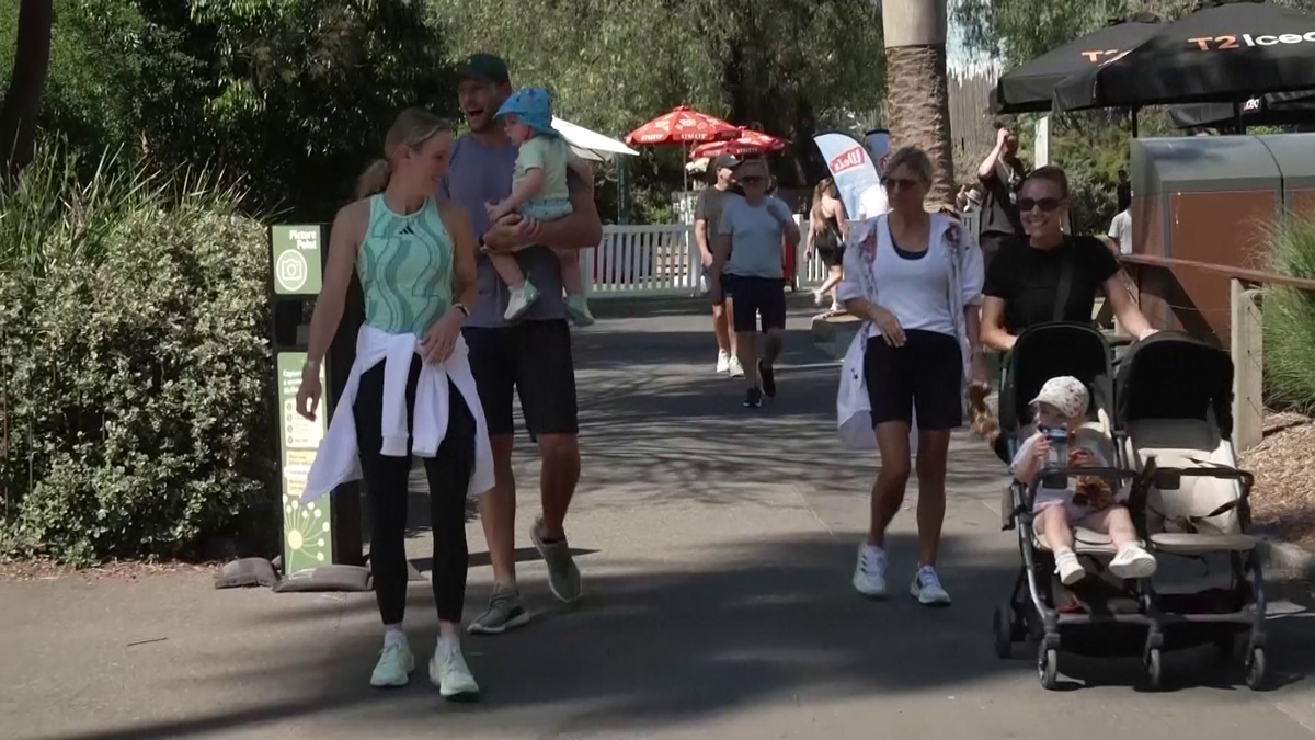 Wozniacki la zoo