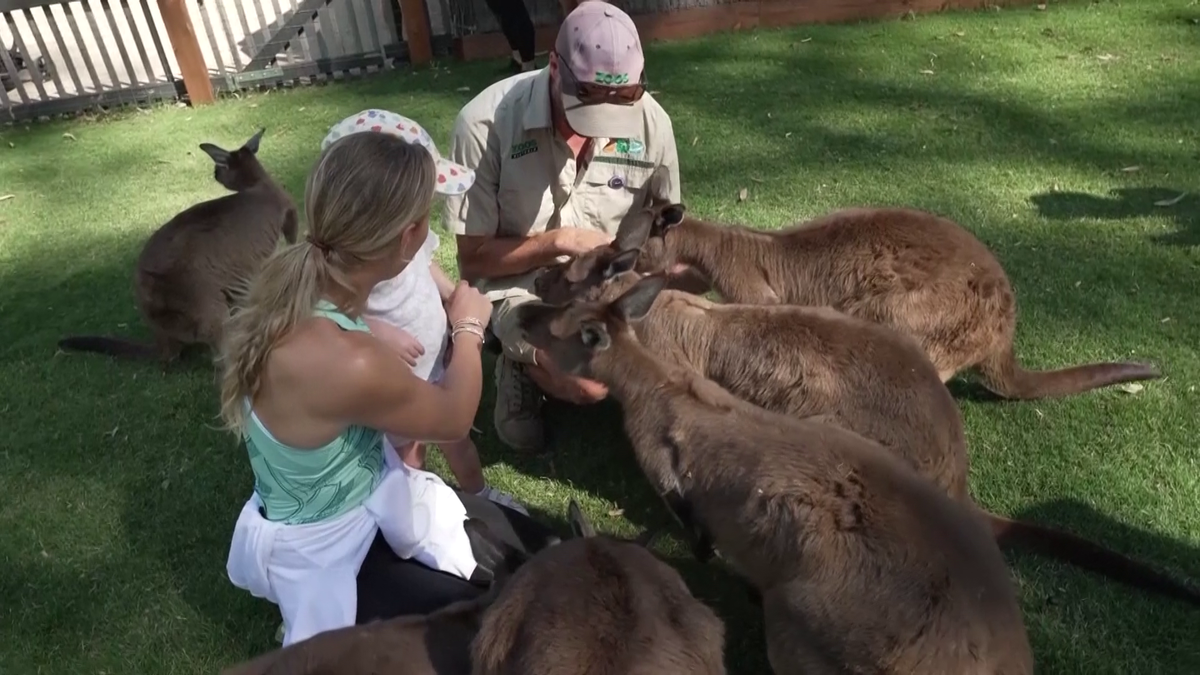 Wozniacki la zoo