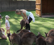 Wozniacki la zoo