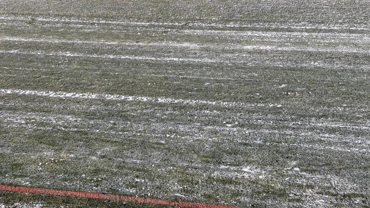 Cum se prezintă gazonul înainte de FC Argeș - FCSB