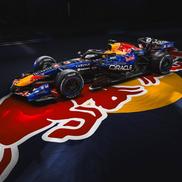 sursă fotografii: Instagram @ redbullracing, redbull