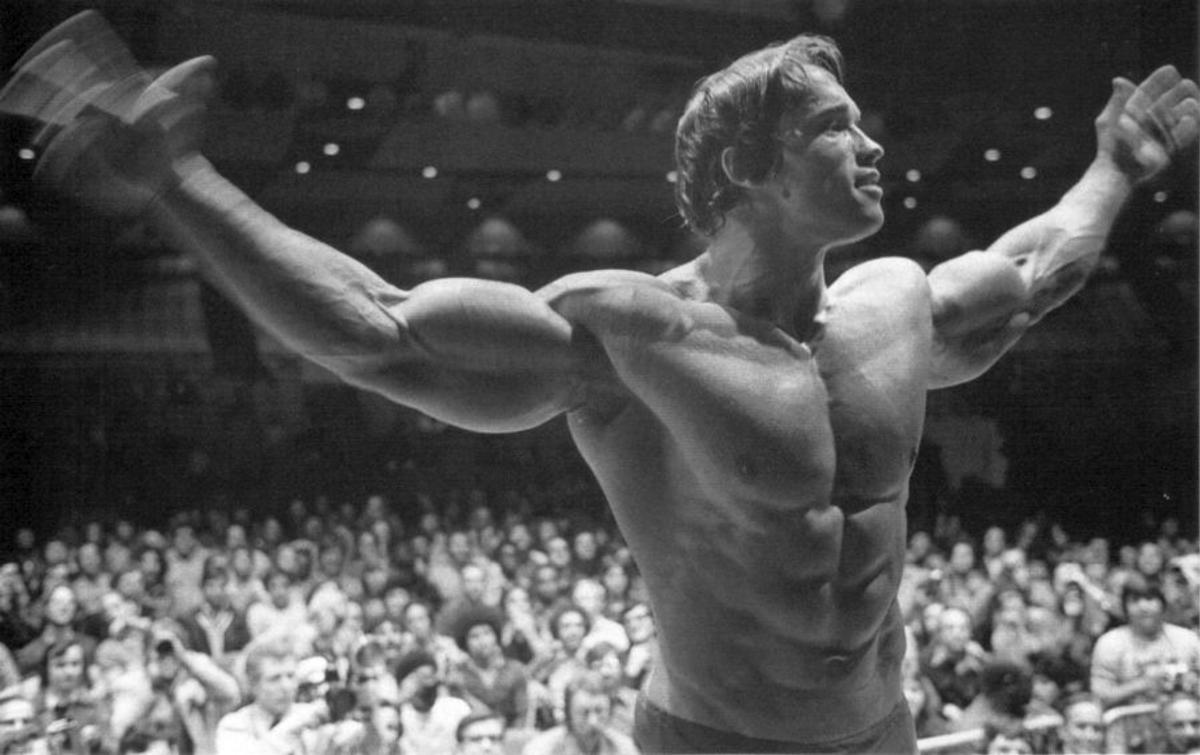 Final de coșmar pentru Arnold Schwarzenegger la Munchen » Reținut și șicanat 3 ore, și-a lăsat partenera drept garanție că se întoarce! „Nemții nu mai văd pădurea de copaci”