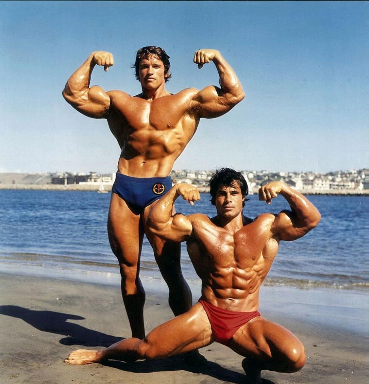 Final de coșmar pentru Arnold Schwarzenegger la Munchen » Reținut și șicanat 3 ore, și-a lăsat partenera drept garanție că se întoarce! „Nemții nu mai văd pădurea de copaci”